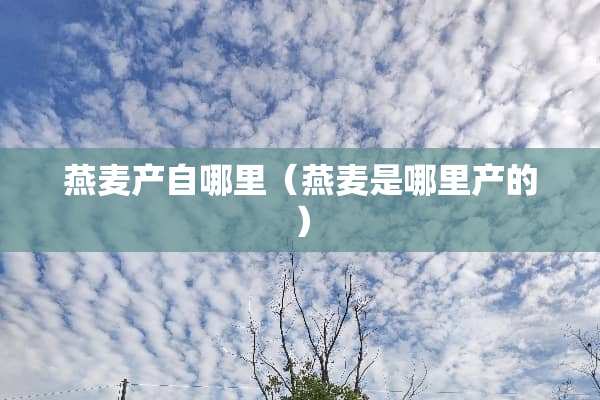 燕麦产自哪里（燕麦是哪里产的）