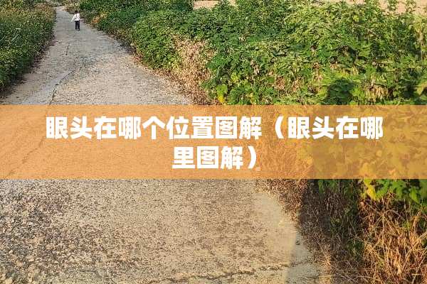 眼头在哪个位置图解（眼头在哪里图解）