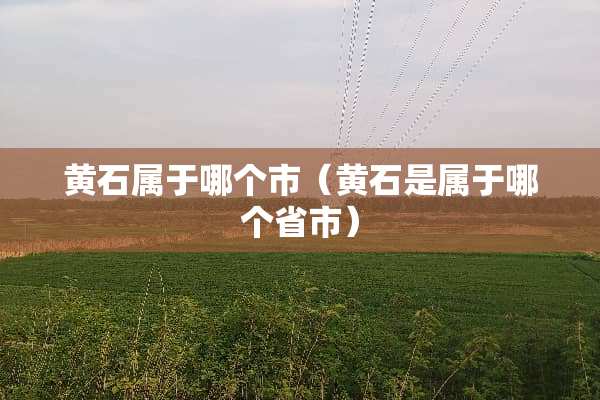 黄石属于哪个市（黄石是属于哪个省市）