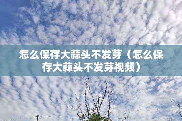怎么保存大蒜头不发芽（怎么保存大蒜头不发芽视频）
