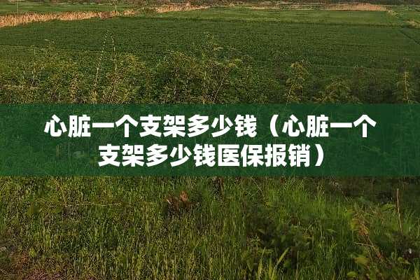 心脏一个支架多少钱（心脏一个支架多少钱医保报销）