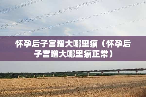 怀孕后子宫增大哪里痛（怀孕后子宫增大哪里痛正常）