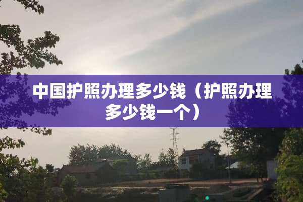 中国护照办理多少钱（护照办理多少钱一个）