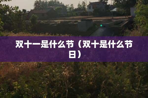 双十一是什么节（双十是什么节日）