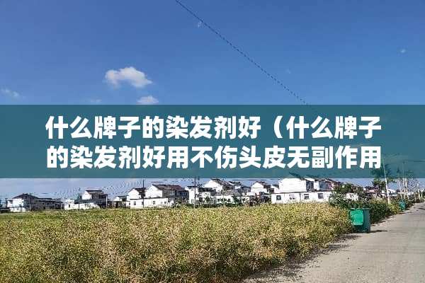 什么牌子的染发剂好（什么牌子的染发剂好用不伤头皮无副作用的）