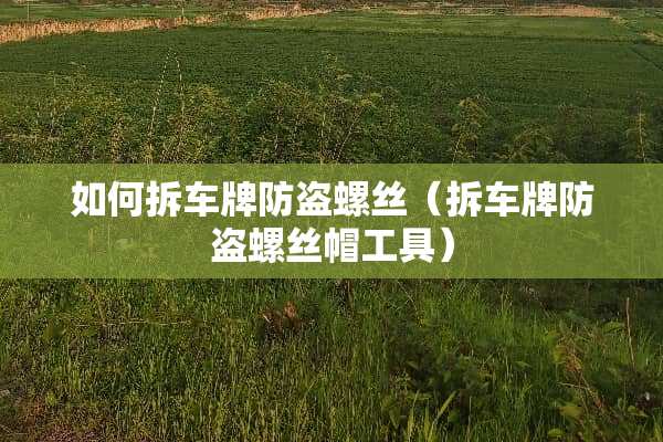 如何拆车牌防盗螺丝（拆车牌防盗螺丝帽工具）