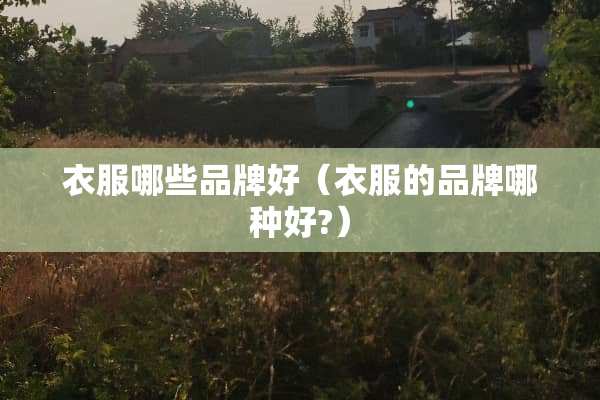 衣服哪些品牌好（衣服的品牌哪种好?）