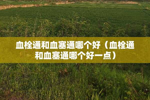 血栓通和血塞通哪个好（血栓通和血塞通哪个好一点）