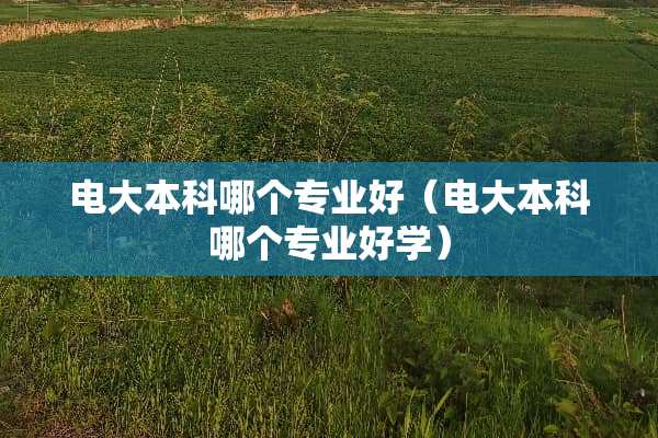 电大本科哪个专业好（电大本科哪个专业好学）