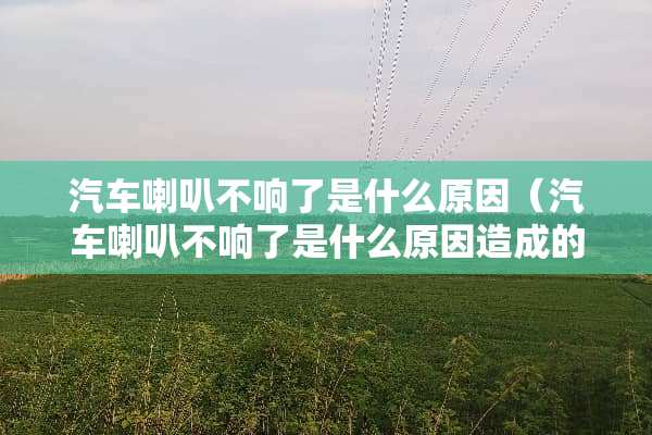 汽车喇叭不响了是什么原因（汽车喇叭不响了是什么原因造成的）
