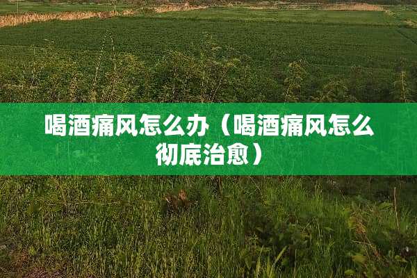 喝酒痛风怎么办（喝酒痛风怎么彻底治愈）
