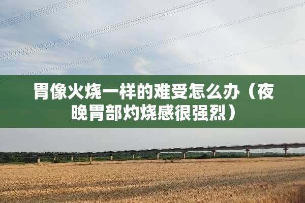 胃像火烧一样的难受怎么办（夜晚胃部灼烧感很强烈）