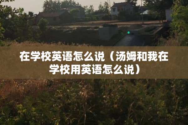 在学校英语怎么说（汤姆和我在学校用英语怎么说）