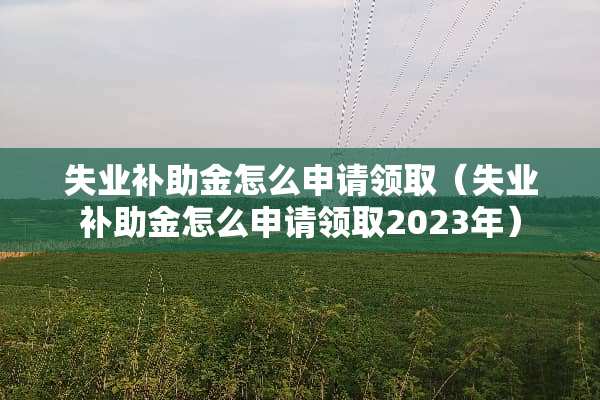 失业补助金怎么申请领取（失业补助金怎么申请领取2023年）