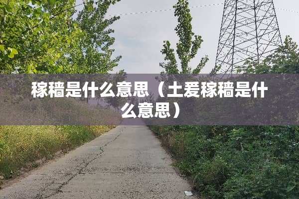稼穑是什么意思（土爰稼穑是什么意思）