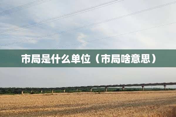 市局是什么单位（市局啥意思）