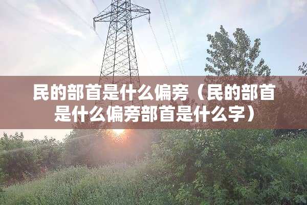 民的部首是什么偏旁（民的部首是什么偏旁部首是什么字）