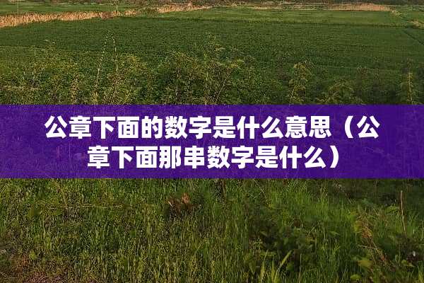 公章下面的数字是什么意思（公章下面那串数字是什么）