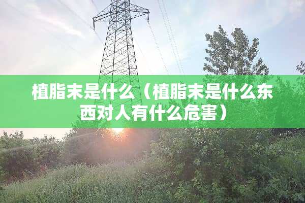 植脂末是什么（植脂末是什么东西对人有什么危害）