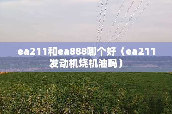 ea211和ea888哪个好（ea211发动机烧机油吗）