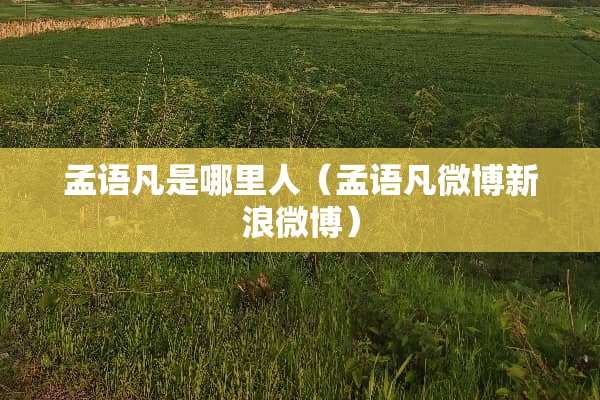 孟语凡是哪里人（孟语凡微博新浪微博）