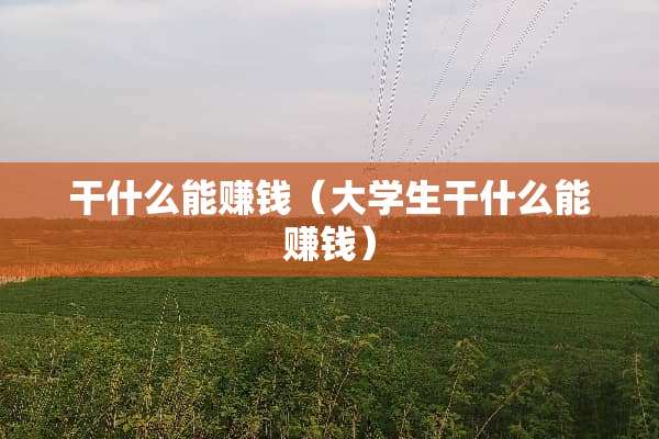 干什么能赚钱（大学生干什么能赚钱）