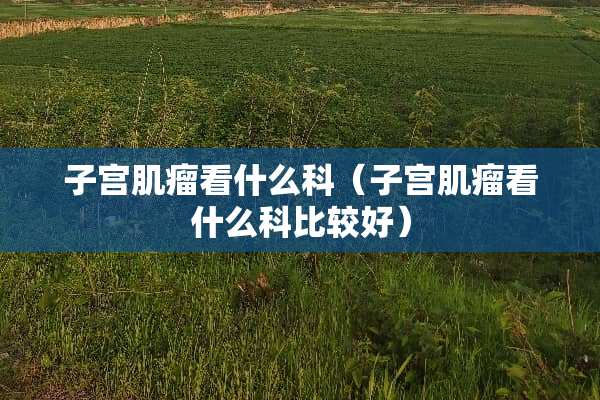 子宫肌瘤看什么科（子宫肌瘤看什么科比较好）