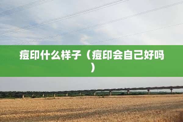 痘印什么样子（痘印会自己好吗）