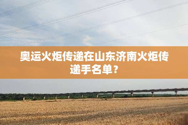 奥运火炬传递在山东济南火炬传递手名单？