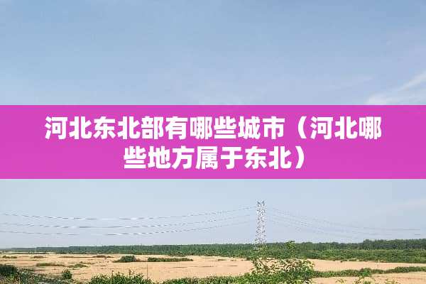 河北东北部有哪些城市（河北哪些地方属于东北）