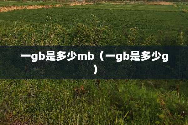 一gb是多少mb（一gb是多少g）
