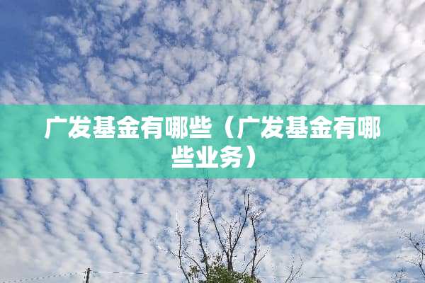 广发基金有哪些（广发基金有哪些业务）