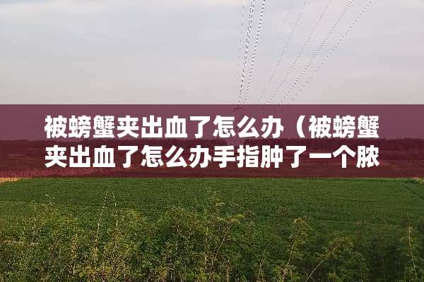 被螃蟹夹出血了怎么办（被螃蟹夹出血了怎么办手指肿了一个脓包）