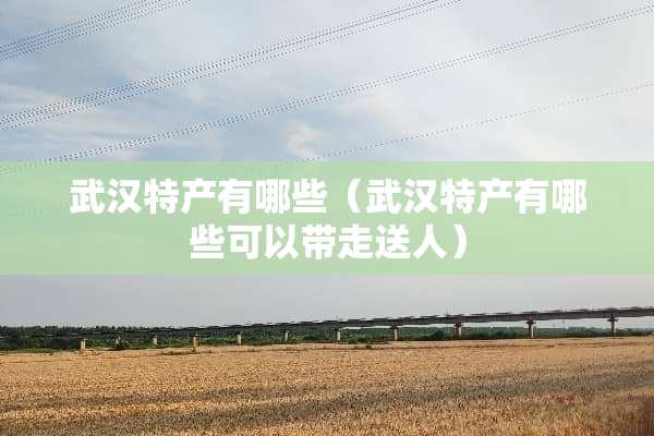 武汉特产有哪些（武汉特产有哪些可以带走送人）