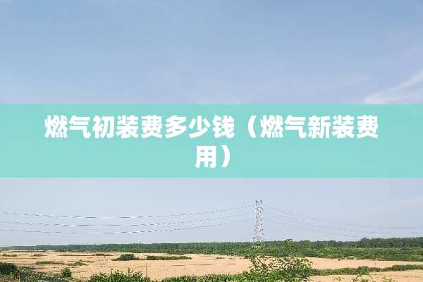 燃气初装费多少钱（燃气新装费用）