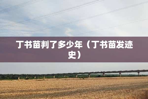 丁书苗判了多少年（丁书苗发迹史）