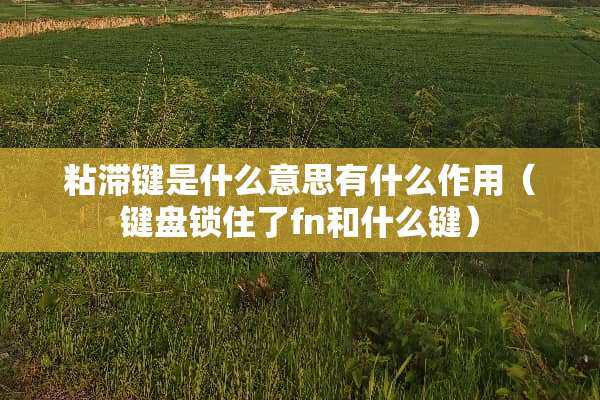 粘滞键是什么意思有什么作用（键盘锁住了fn和什么键）