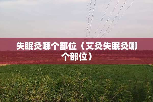 失眠灸哪个部位（艾灸失眠灸哪个部位）