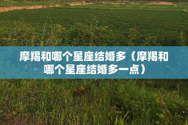 摩羯和哪个星座结婚多（摩羯和哪个星座结婚多一点）