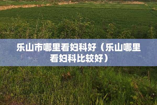 乐山市哪里看妇科好（乐山哪里看妇科比较好）
