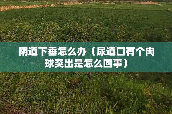*道下垂怎么办（尿道口有个肉球突出是怎么回事）