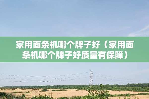 家用面条机哪个牌子好（家用面条机哪个牌子好质量有保障）