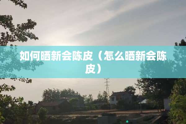 如何晒新会陈皮（怎么晒新会陈皮）