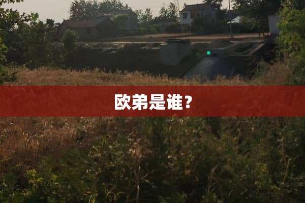 欧弟是谁？
