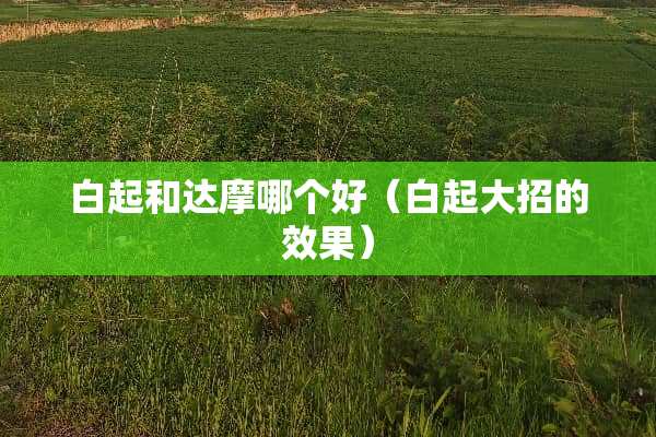 白起和达摩哪个好（白起大招的效果）