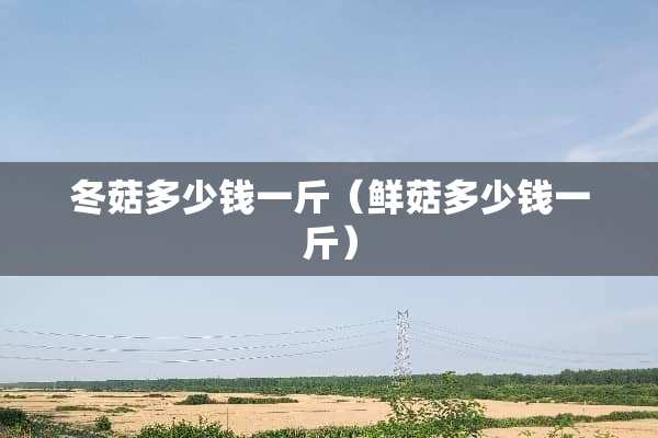 冬菇多少钱一斤（鲜菇多少钱一斤）
