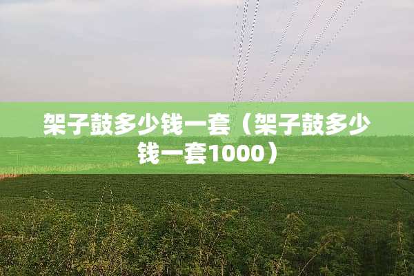 架子鼓多少钱一套（架子鼓多少钱一套1000）