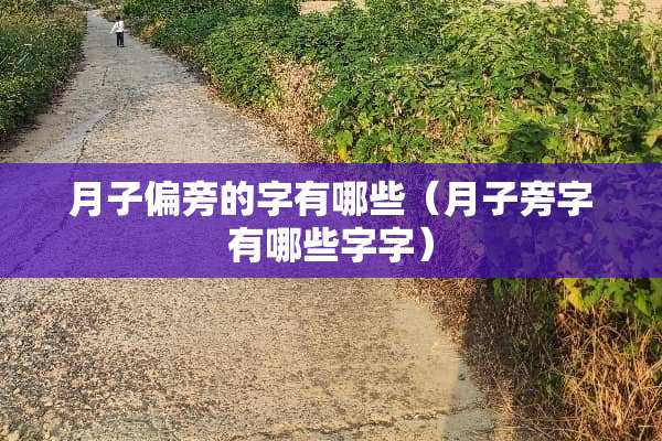 月子偏旁的字有哪些（月子旁字有哪些字字）