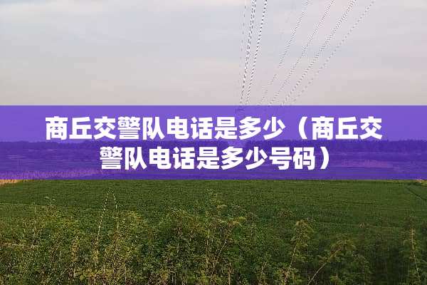 商丘交警队电话是多少（商丘交警队电话是多少号码）