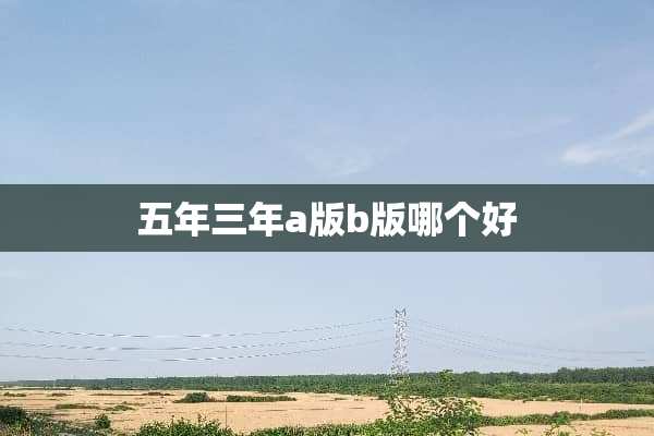 五年三年a版b版哪个好